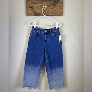 Talbots 2 Petite Wide Leg Crop Jeans- Hoffman Wash High Waist- Ombré Cropped Hem